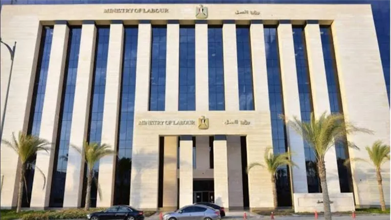 فرص عمل.. 3701 وظيفة تنتظر الشباب في 11 محافظة