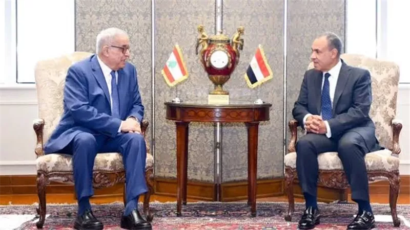 وزير الخارجية المصري ونظيره اللبناني يناقشان الأوضاع الراهنة في لبنان