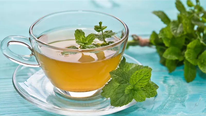 6 فوائد صحية للشاي بالنعناع.. تعرف عليها