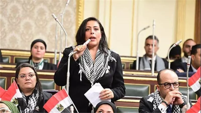 نائبة: الشباب هم مستقبل مصر ولابد من استثمارها