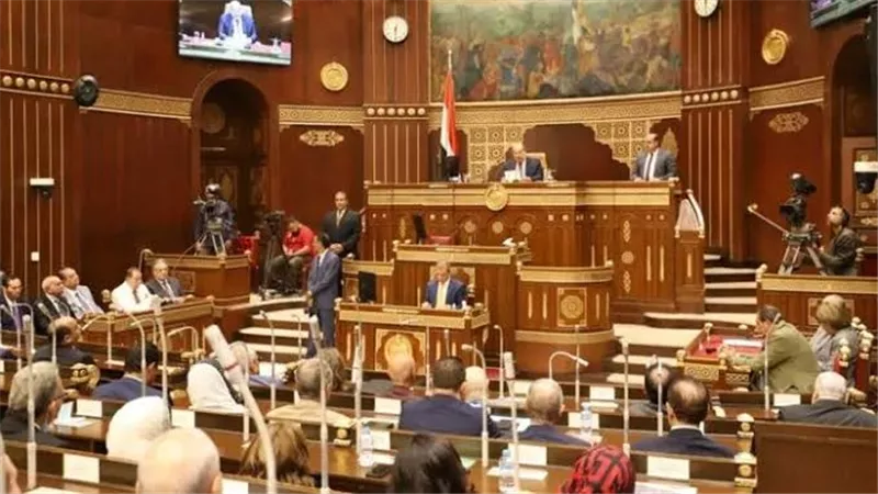 نائب: قمة بريكس فرصة لتعزيز التعاون بين مصر والدول الكبرى لتحقيق التنمية 