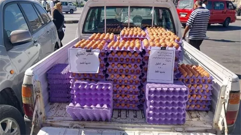 وزير الزراعة يوجه بالتوسع في القوافل الغذائية والمنافذ الثابتة والمتحركة