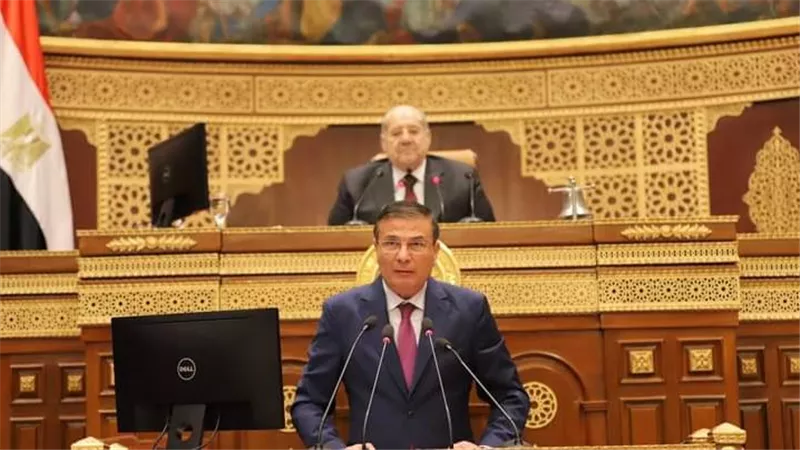 وزير الزراعة يستعرض جهود الدولة لزيادة الرقعة الزراعية أمام مجلس الشيوخ