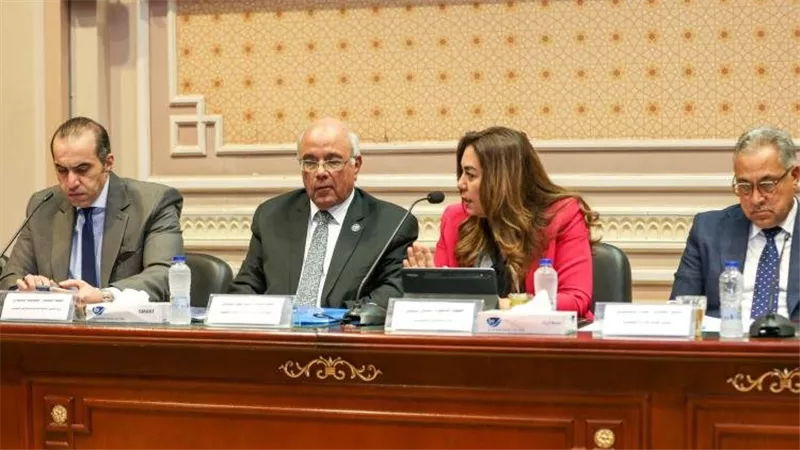 وزيرة التنمية: 2.9 مليون طلب تصالح على المخالفات قيد الدراسة