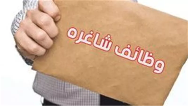 فرص عمل للشباب بـ السويس.. إليك التفاصيل