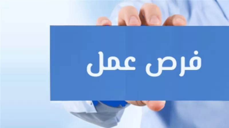 بشرى سارة للمهندسين.. 30 وظيفة في شركة مصر للطيران 