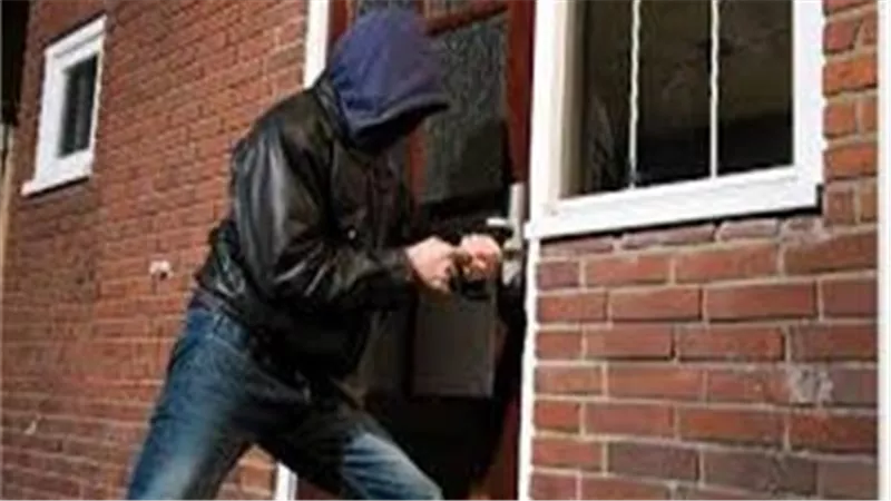 ارتكبا 9 وقائع.. سقوط مسجل خطر لقيامة بسرقة الشقق بمدينة نصر