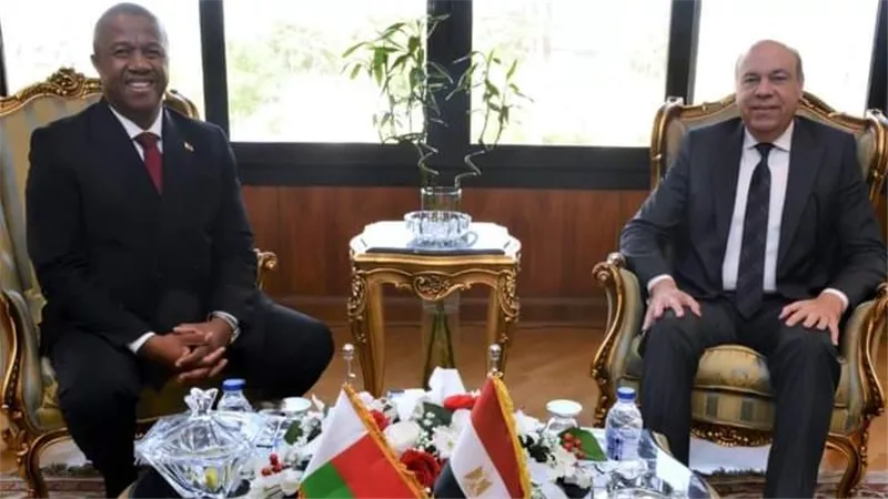وزير الطيران يبحث إمكانية تعديل اتفاقية النقل الجوي الموقعة مع مدغشقر 