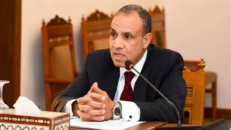 وزير الخارجية: نطمح لتحويل العلاقات السياسية بين مصر والكاميرون إلى شراكات اقتصادية