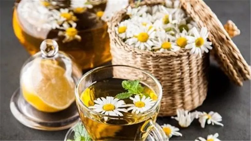 اكتشف فوائد البابونج المدهشة لصحتك وجمالك