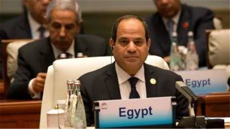 كلمة الرئيس السيسي خلال افتتاح قمة الدول الثمانى النامية