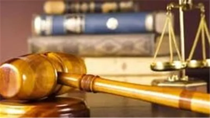 الدائرة الثانية إرهاب تؤجل محاكمة المتهمين بخلية «ولاية الدلتا الإرهابية»