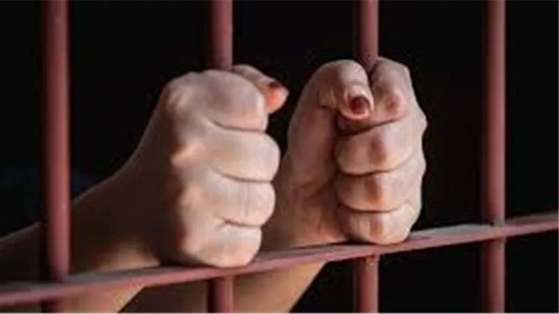 كواليس القبض على طبيبة تشكك بنسب الأطفال لذويهم بـ كفر الشيخ
