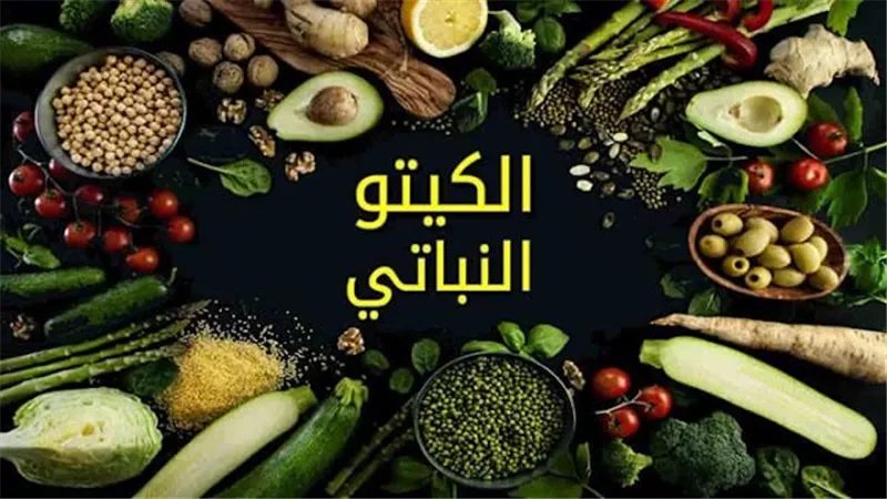 نظام الكيتو النباتي: دليل كامل للتغذية الصحية والنباتية