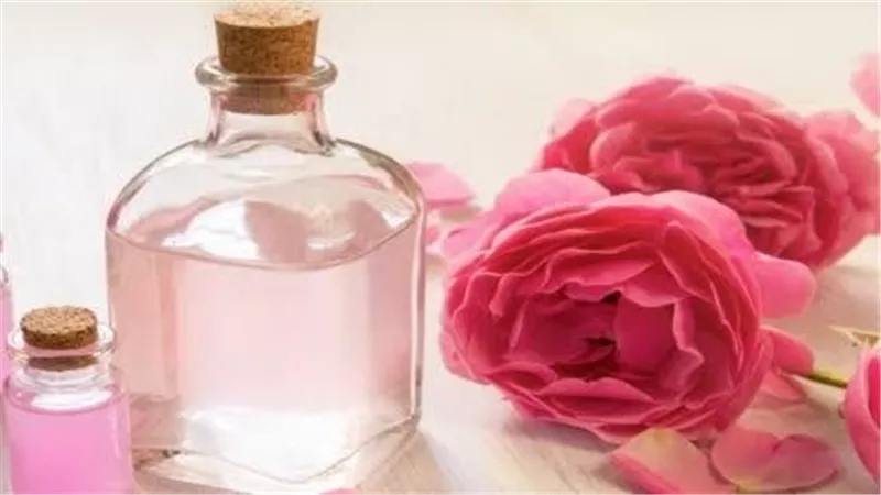 فوائد نبتة ماء الورد للصحة العامة والجمال الطبيعي