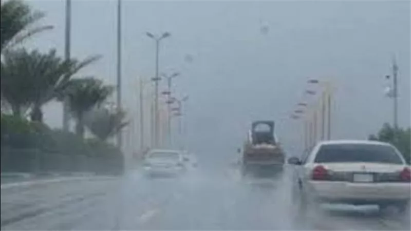كيف تتجنب حوادث الطرق في حالة الشبورة الكثيفة والأمطار؟