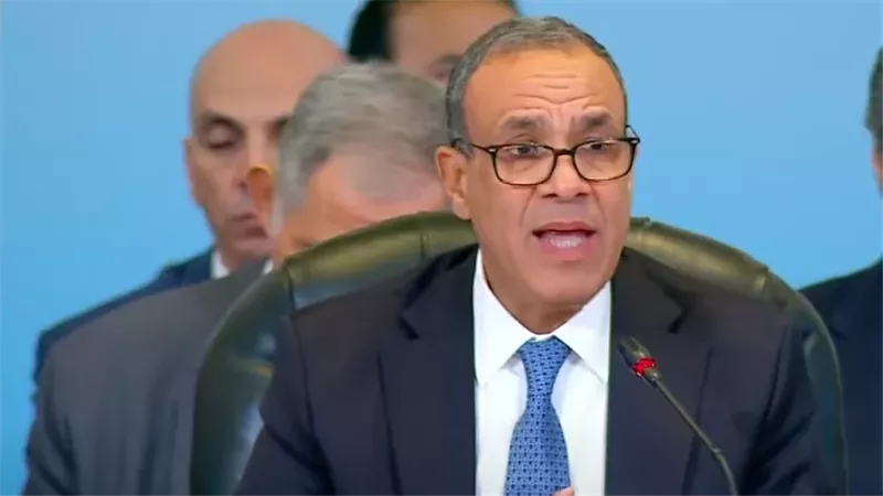 وزير الخارجية يستعرض جهود مصر لتنفيذ وقف إطلاق النار وتسوية الصراع الفلسطيني 