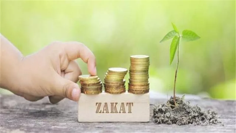 تعرف على كيفية إخراج الزكاة.. دار الإفتاء توضح أبرز الاستفسارات
