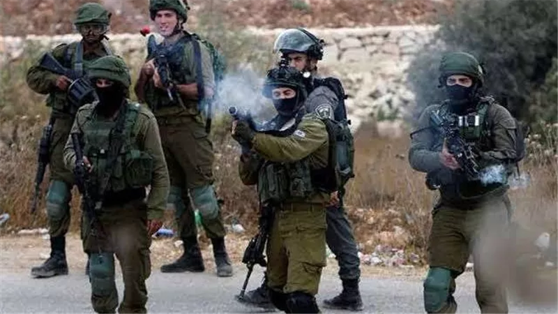 مستوطنون مسلحون يهاجمون الفلسطينيين جنوب غرب الخليل بالضفة الغربية
