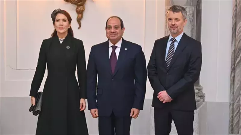 السيسي بمنتدى الأعمال الدنماركي: التحديات الإقليمية والدولية أثرت على مصر