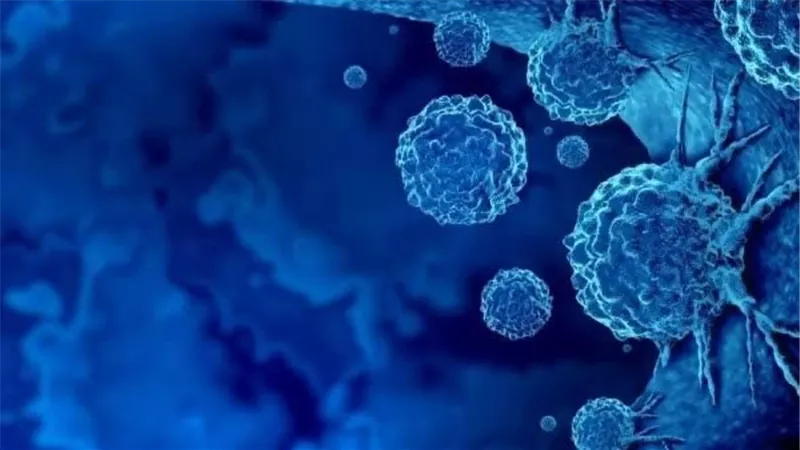 عشبة مفاجئة تساهم في علاج الالتهابات والوقاية من الأمراض المزمنة