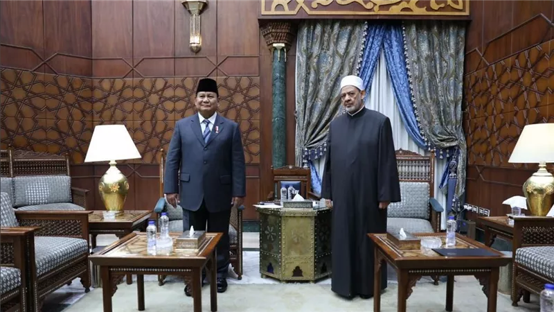 شيخ الأزهر والرئيس الإندونيسي يؤكدان استمرار الجهود لوقف الإبادة الجماعية بغزة