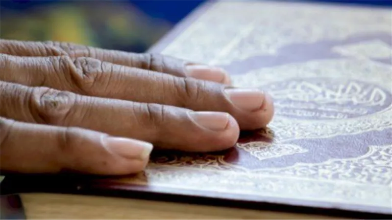 كيف تميز بين الشهادة الصحيحة وشهادة الزور؟