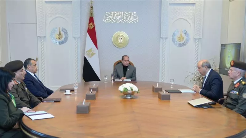 السيسي يوجه باستمرار العمل على تطوير منظومة الطيران بشكل متكامل