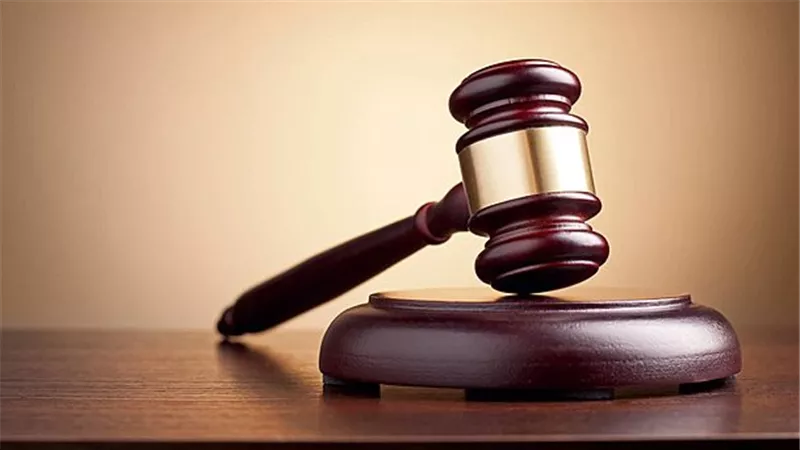 لـ 27 يناير.. مد أجل الحكم على المتهمين بخلية العمرانية 