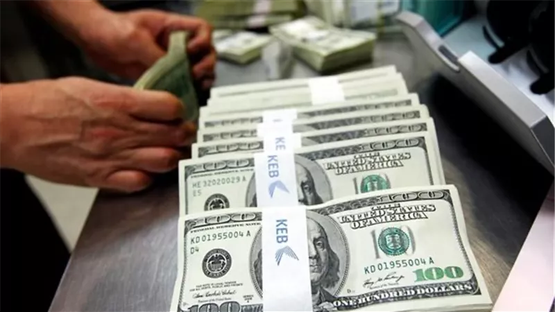 سعر الدولار أمام الجنيه المصري اليوم الأحد 21-6-2026