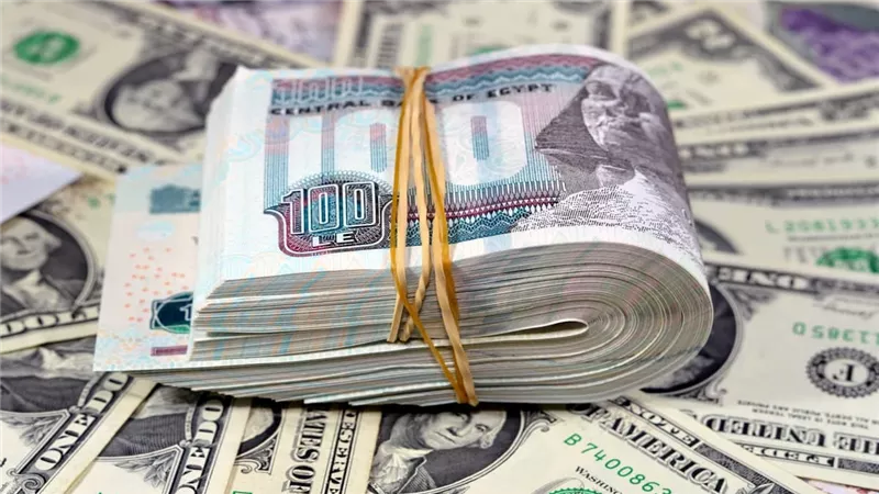 سعر الدولار الأمريكي أمام الجنيه المصري اليوم السبت 6-6-2026