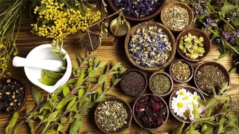تغلب على الكحة والتهاب الحلق: 5 أعشاب سحرية لشتاء خالٍ من الأمراض