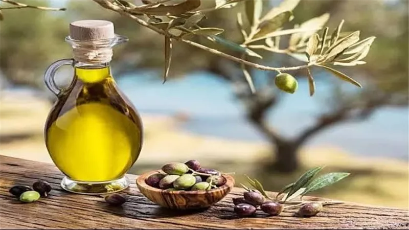 سر استخدام زيت الزيتون في الطعام.. هل يفقد فوائده الصحية عند تسخينه؟