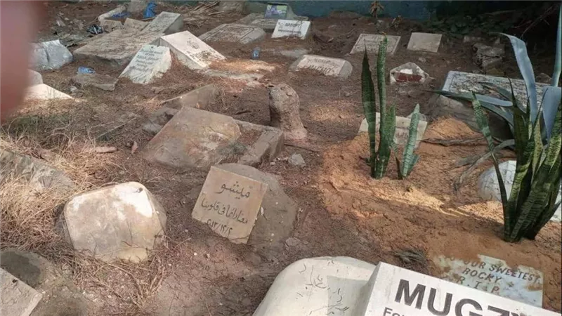 العبادة الحيوانية بين الدفن والرمزية تكشف معنى دفن الحيوانات ما قبل التاريخ
