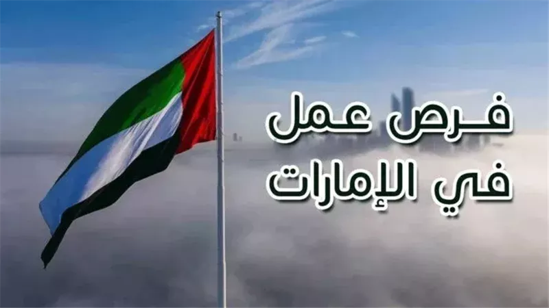 وظائف للمصريين.. المستندات المطلوبة والأوراق لفرص عمل بالإمارات