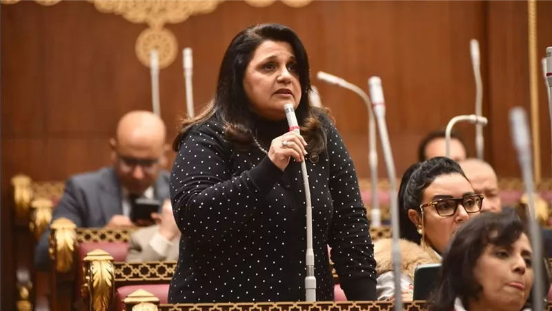 الأنطونى: كلمة الرئيس السيسي تدل علي إصراره تخطى التحديات التى تواجه الدولة 