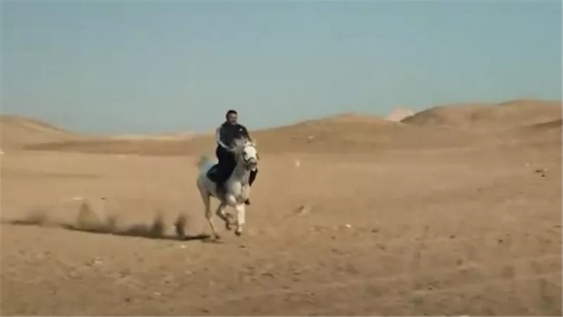 على خطى فهد البطل.. فوائد مذهلة لركوب الخيل للأطفال