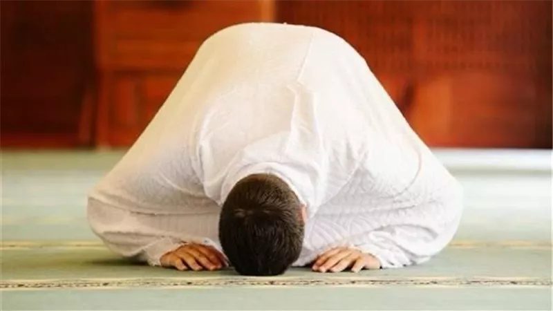 صلاة الضحى في رمضان.. فضلها وأجرها والملائكة تشهدها بهذا التوقيت المبارك