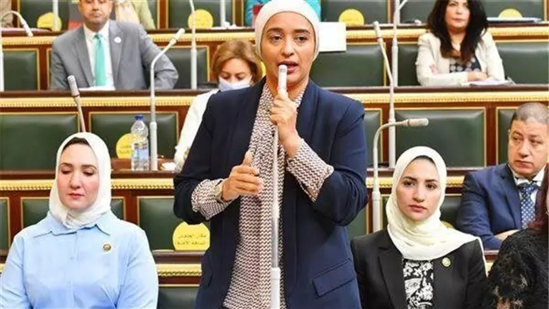 النائبة أميرة أبو شقة: إنشاء مجلس قومي للمواطن ضرورة لتخفيف معاناته