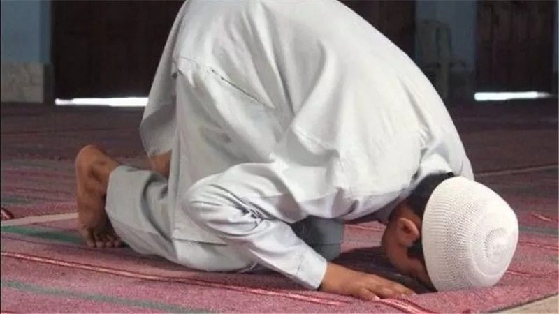 حكم قضاء الصلوات الفائتة في أوقات الكراهة.. تعرف على رأي الإفتاء