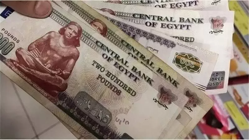 بالرقم القومي.. خطوات الاستعلام عن معاشات مايو 2025 وقيمة الزيادة الجديدة