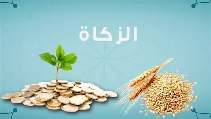 حكم استخدام أموال الزكاة في إصلاح منازل المحتاجين.. دار الإفتاء تحسم الجدل 