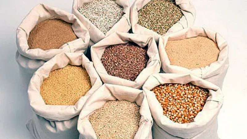أسعار الأعلاف اليوم الثلاثاء 15-9-2026.. تراجع متوقع للخامات