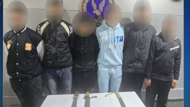 الداخلية تكشف حقيقة فيديو « الرقص بالأسلحة والألعاب النارية » في الإسكندرية