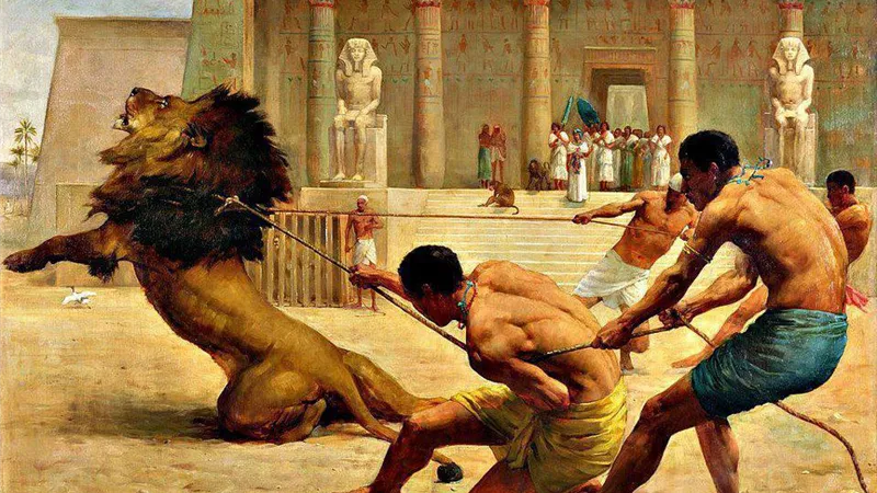 جراء التسلية.. مقبرة دليل على المصارعة بين البشر والأسود بالعصر الروماني