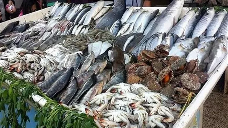  أسعار الأسماك في الأسواق اليوم الأربعاء.. البلطي يسجل 82 جنيها