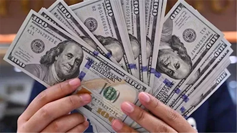 سعر الدولار أمام الجنيه المصري اليوم الجمعة 27 فبراير 2026