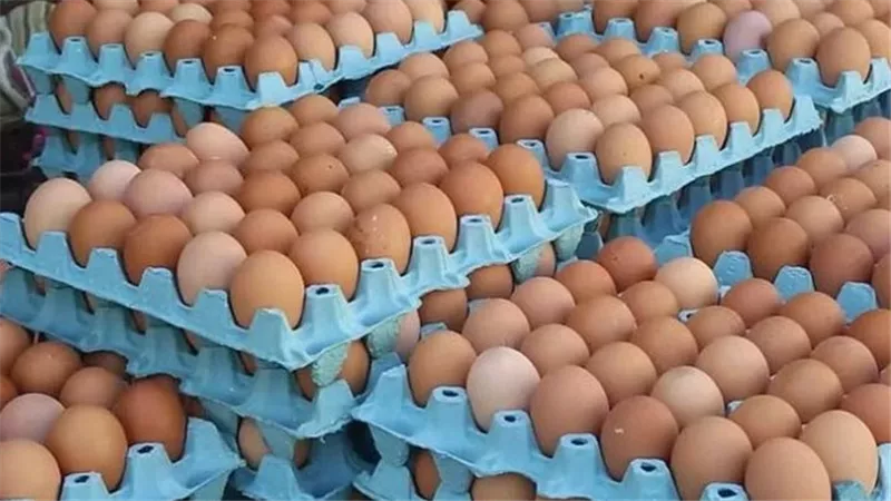 مدة صلاحية البيض في الصيف و«أفضل طرق تخزينه» للحفاظ على سلامته