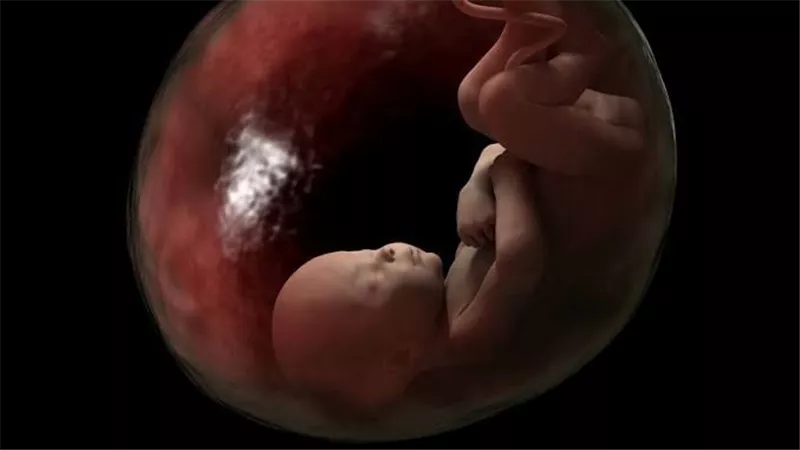 هل يجوز الإجهاض بعد نفخ الروح لحماية حياة الأم؟..  الإفتاء توضح 