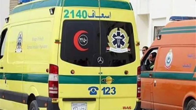 مصرع عامل وإصابة 4 عمال اختناقًا بسبب تسريب غاز بكفر الشيخ